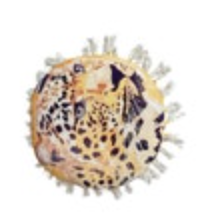 Leopard Jungle Gold Decorative Throw Pillow 20”X 20” Tassels Great Piece