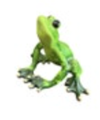 Cute Green Sitting Jungle Forest Tree Frog Figurine Gold Accents Resin