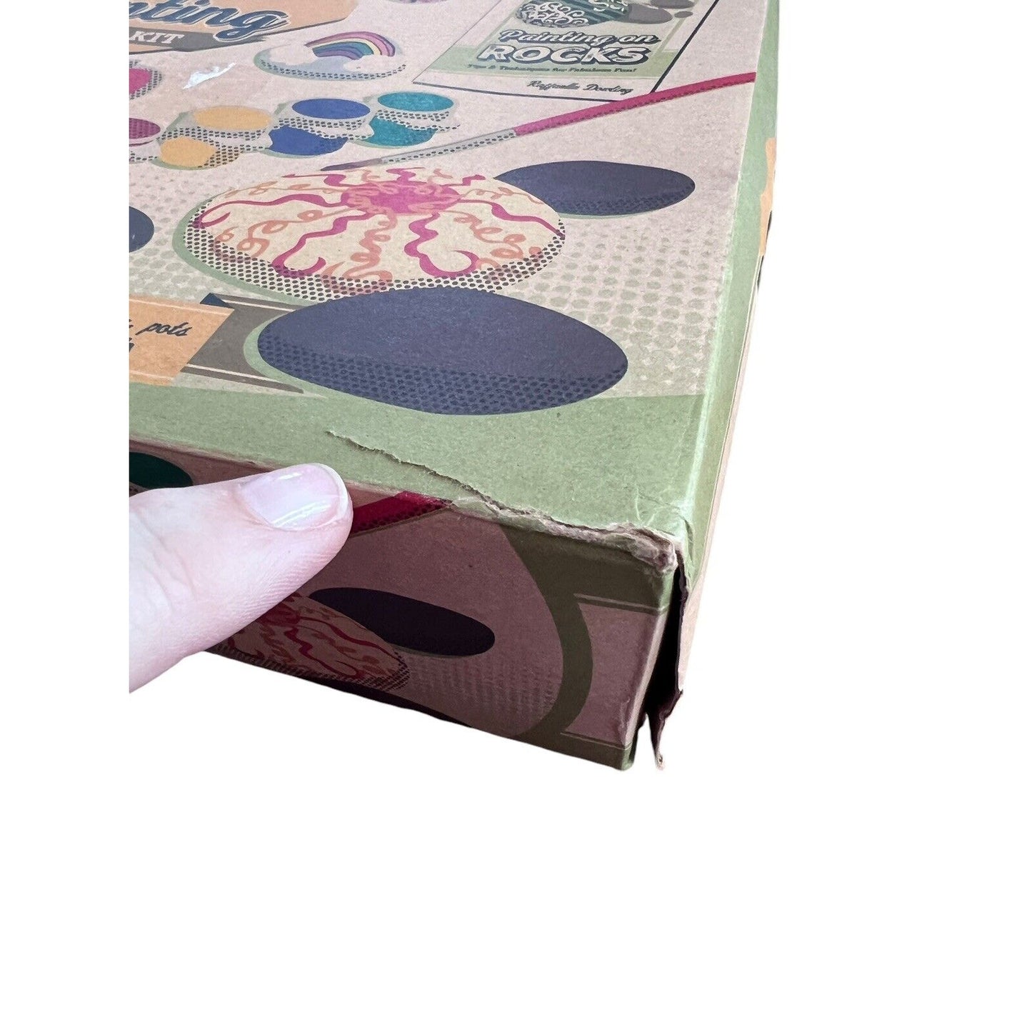 Mud Puddle Rock Painting Book and Kit New Kids Crafts Family Fun