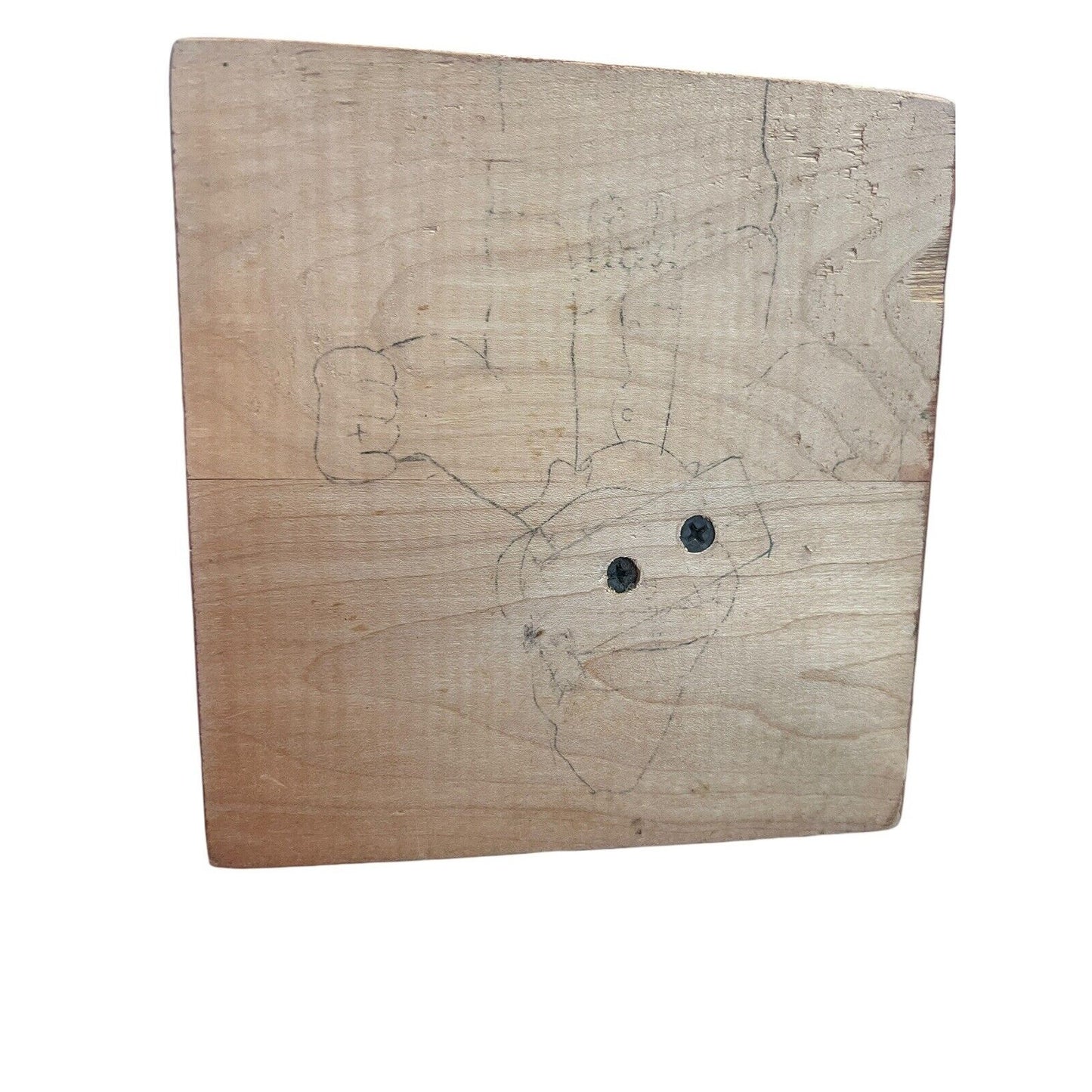 Fall Decor Hand Painted Wooden Scarecrow No Crows Allowed Sign Thanksgiving Farm