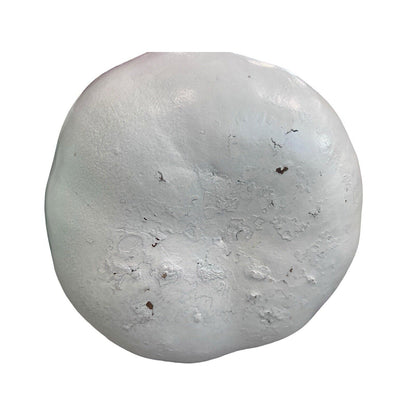 Gourd Snowman Scarecrow Hand Painted Christmas Winter Holiday Decoration Bird