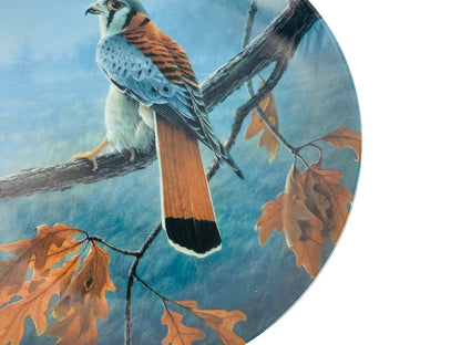 Knowles Bradford Exchange Bradex 1989 Decorative 8.5" Plate "The American Kestral"