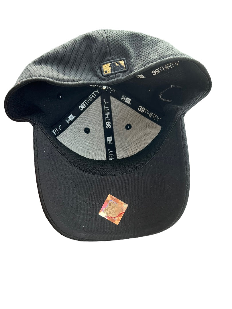 MLB Washington Nationals 2019 World Series Champions New Era Cap 39THIRTY Hat