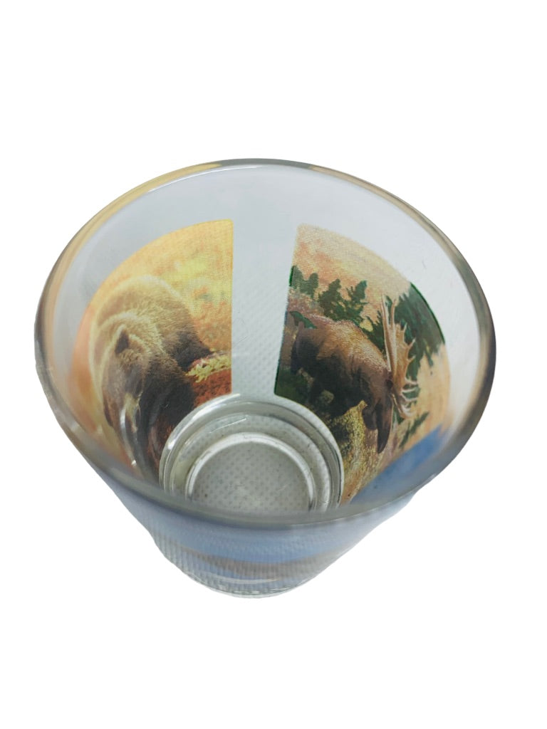 Alaska Souvenir Wildlife Shot Glass Photos Barware