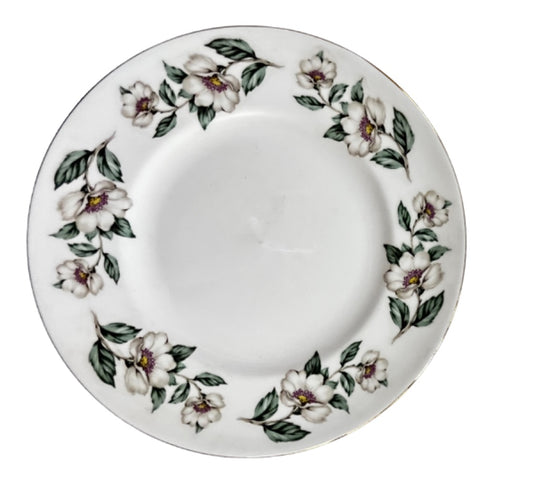 Royal Victoria 8 1/4" Salad Plate White Floral Trim Bone China Gold Rim