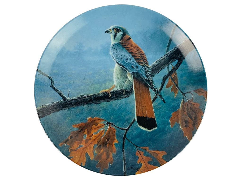 Knowles Bradford Exchange Bradex 1989 Decorative 8.5" Plate "The American Kestral"