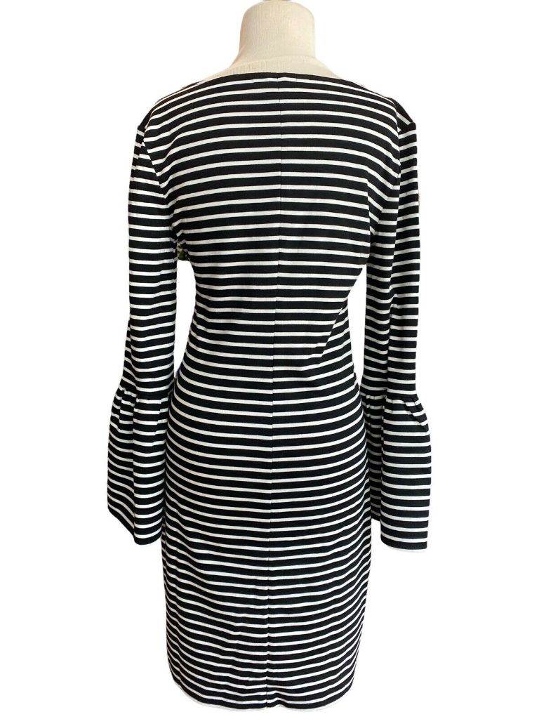 Small Banana Republic Black and White Striped V-Neck Flare Sleeve Dress