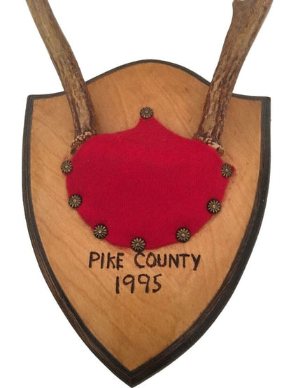 Wall Mount Plaque Deer Antler Pike County 1995 8" x 10" Rustic Decor Cabin Kitsch