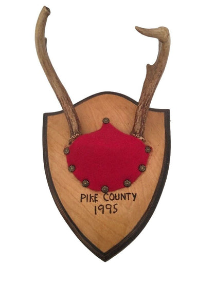 Wall Mount Plaque Deer Antler Pike County 1995 8" x 10" Rustic Decor Cabin Kitsch